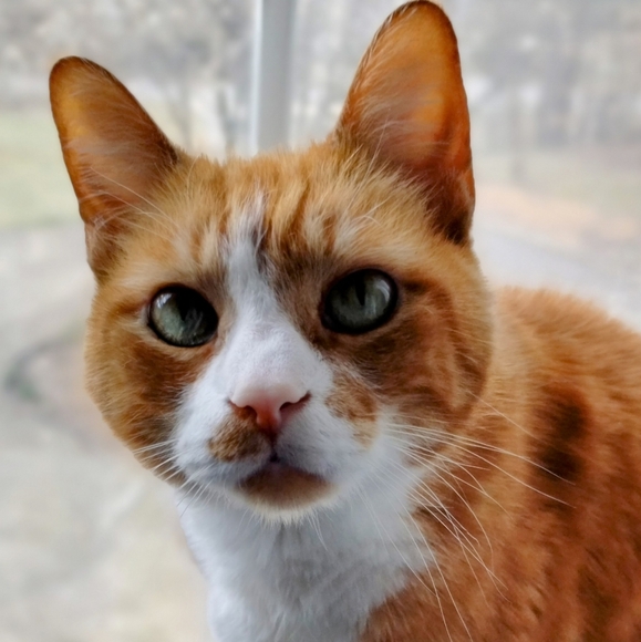 Meet your Posher, Christina - Picture 4 of 6